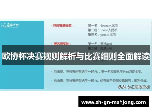欧协杯决赛规则解析与比赛细则全面解读