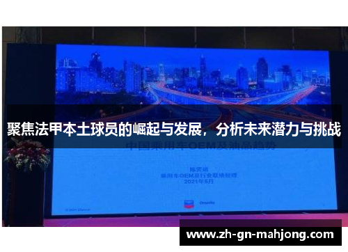 聚焦法甲本土球员的崛起与发展,分析未来潜力与挑战 聚焦法甲本土球员的崛起与发展,分析未来潜力与挑战