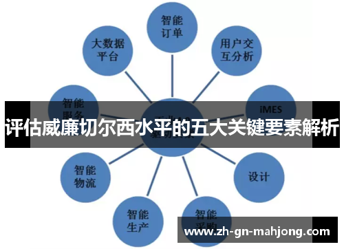 评估威廉切尔西水平的五大关键要素解析