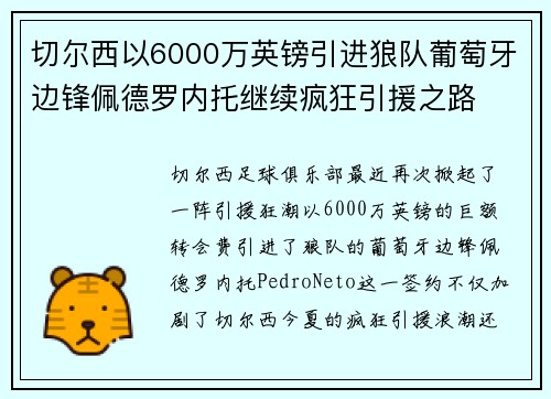 切尔西以6000万英镑引进狼队葡萄牙边锋佩德罗内托继续疯狂引援之路