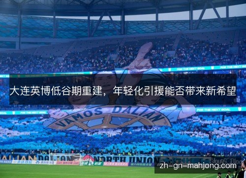大连英博低谷期重建,年轻化引援能否带来新希望 大连英博低谷期重建,年轻化引援能否带来新希望