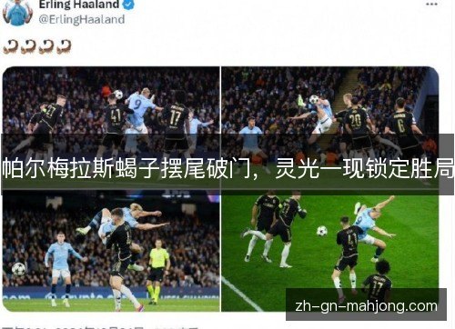 帕尔梅拉斯蝎子摆尾破门,灵光一现锁定胜局 帕尔梅拉斯蝎子摆尾破门,灵光一现锁定胜局
